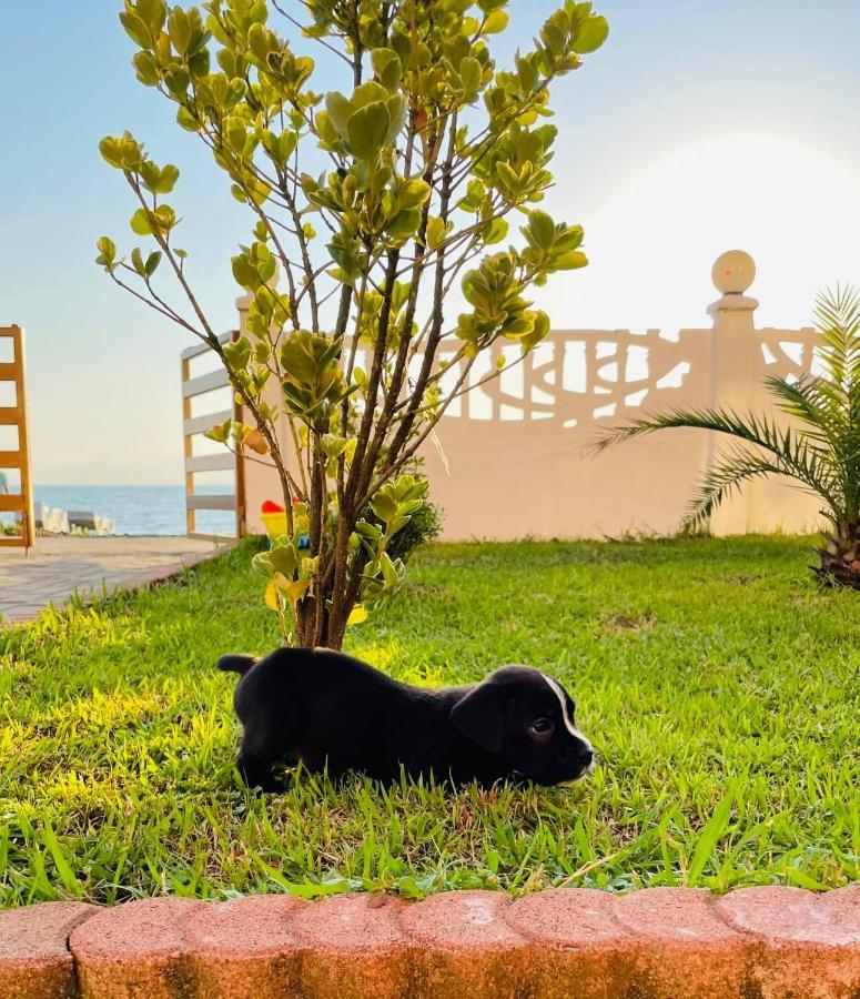 Sea Line Hotel Shekhvetili Exterior photo