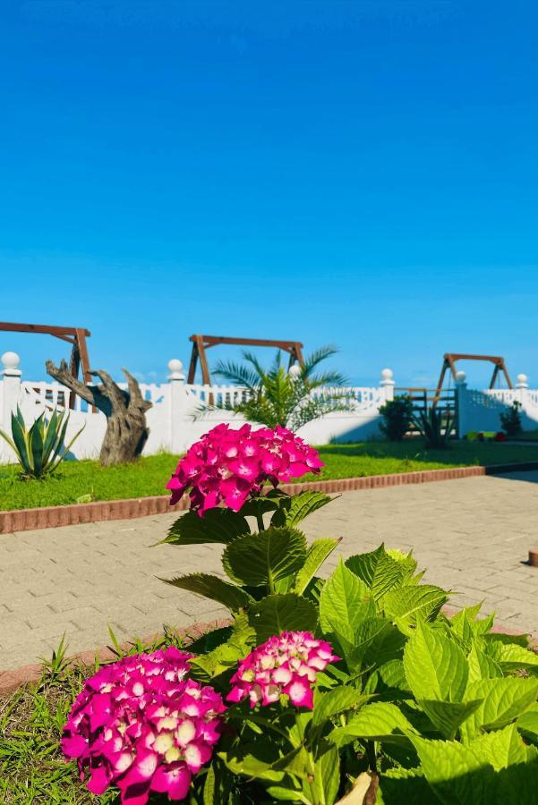 Sea Line Hotel Shekhvetili Exterior photo